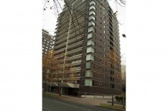 Presidente Riesco, Club de Golf, Los Leones